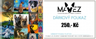 DÁRKOVÝ POUKAZ