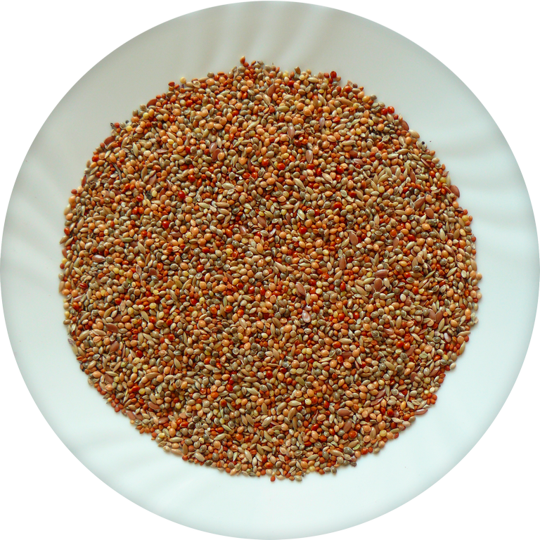 AVICENTRA CLASSIC menu drobný exot 1kg