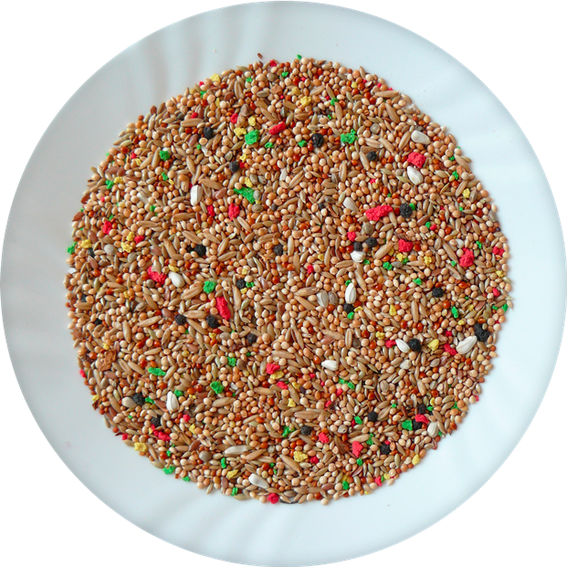 AVICENTRA DELUX andulka 1kg