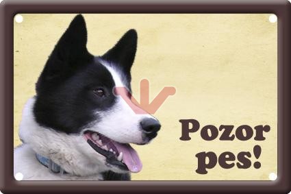 Karelský medvědí pes I