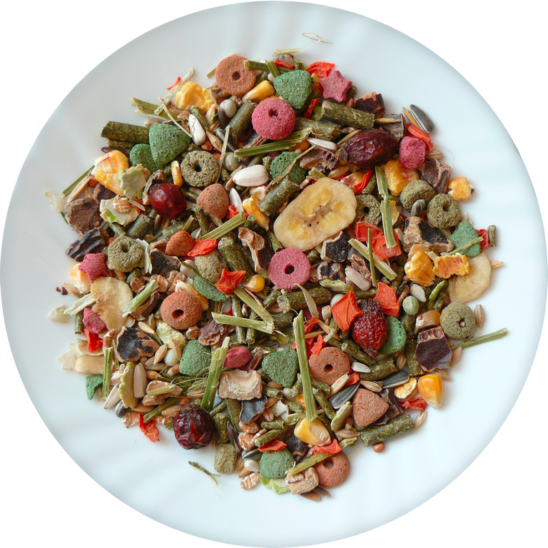 Avicentra Speciál morče 1kg