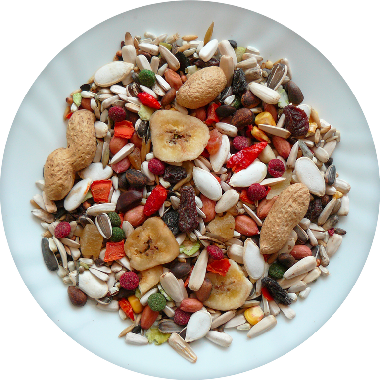 AVICENTRA DELUX velký papoušek 1kg