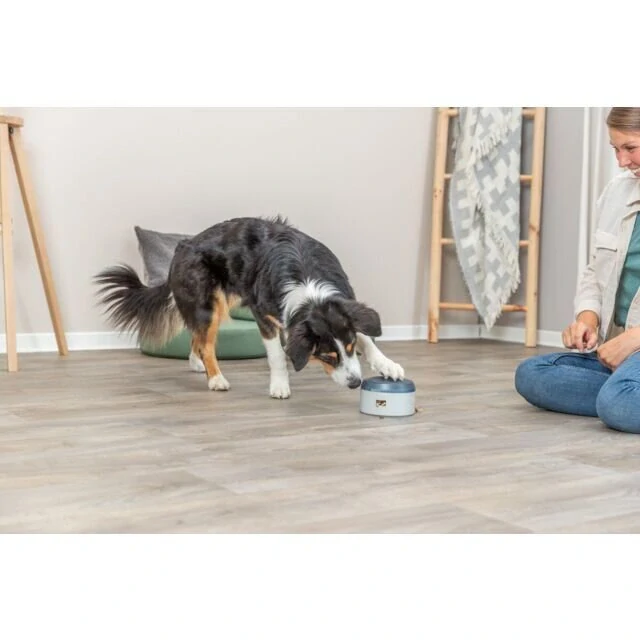 Dog Activity Buzzer, interaktivní hračka pro psy, ø 14 × 9.5 cm