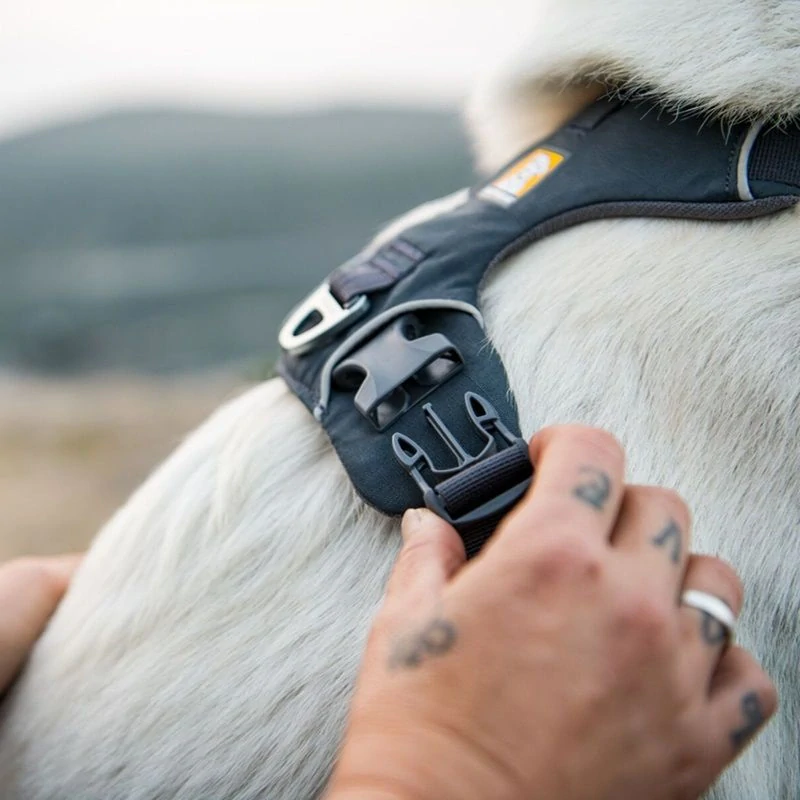 Ruffwear postroj Front Range River rock green